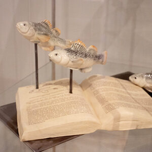 184